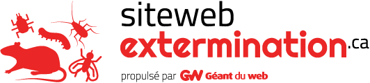 Conception web pour Exterminateurs - Géant du web